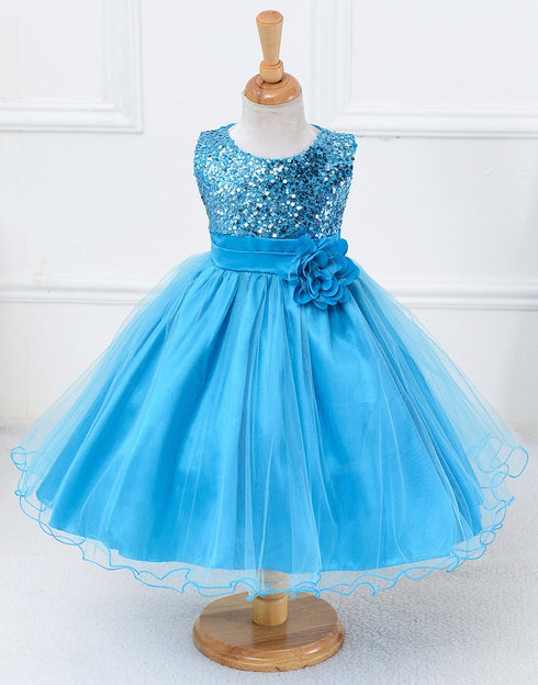 Mesh Paggy Dress